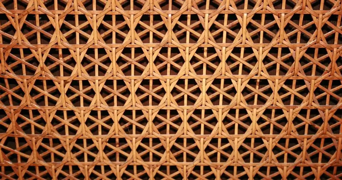 Palo Santo Ağacı Türkiye’de Yetişir Mi ve Kullanım Alanları Nelerdir