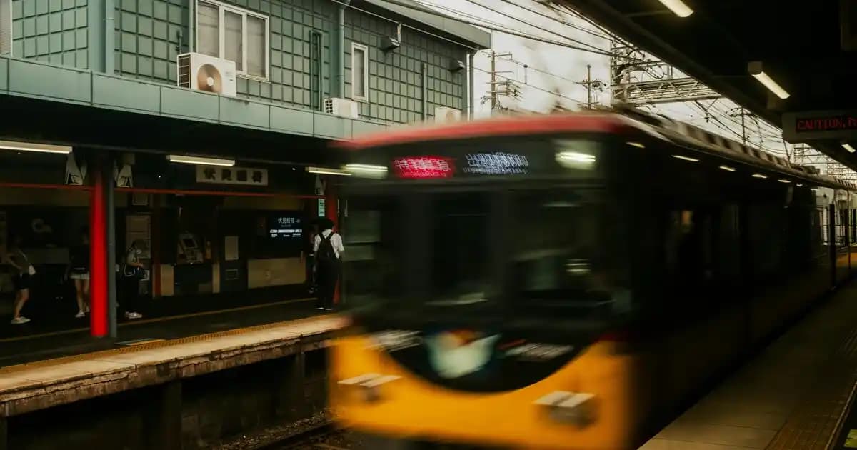 2025'te Pamuk Yağı Hakkında Bilmeniz Gereken 5 Şaşırtıcı Gerçek