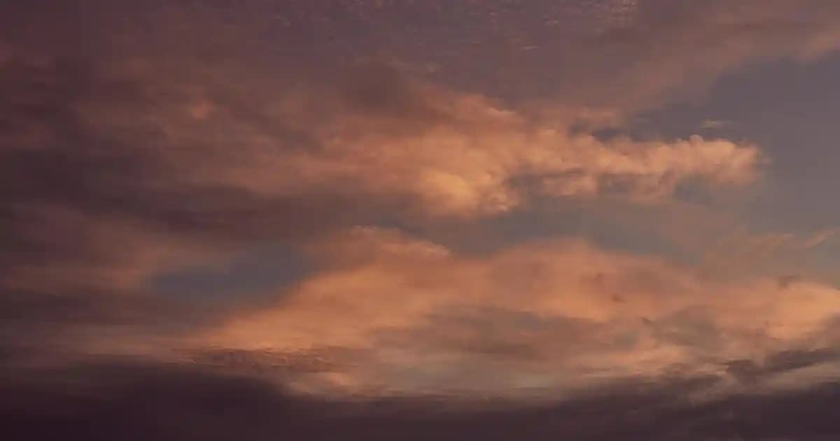 Pastalarınıza Zarafet Katacak Kelebek Süsleri ve Dekorasyon İpuçları