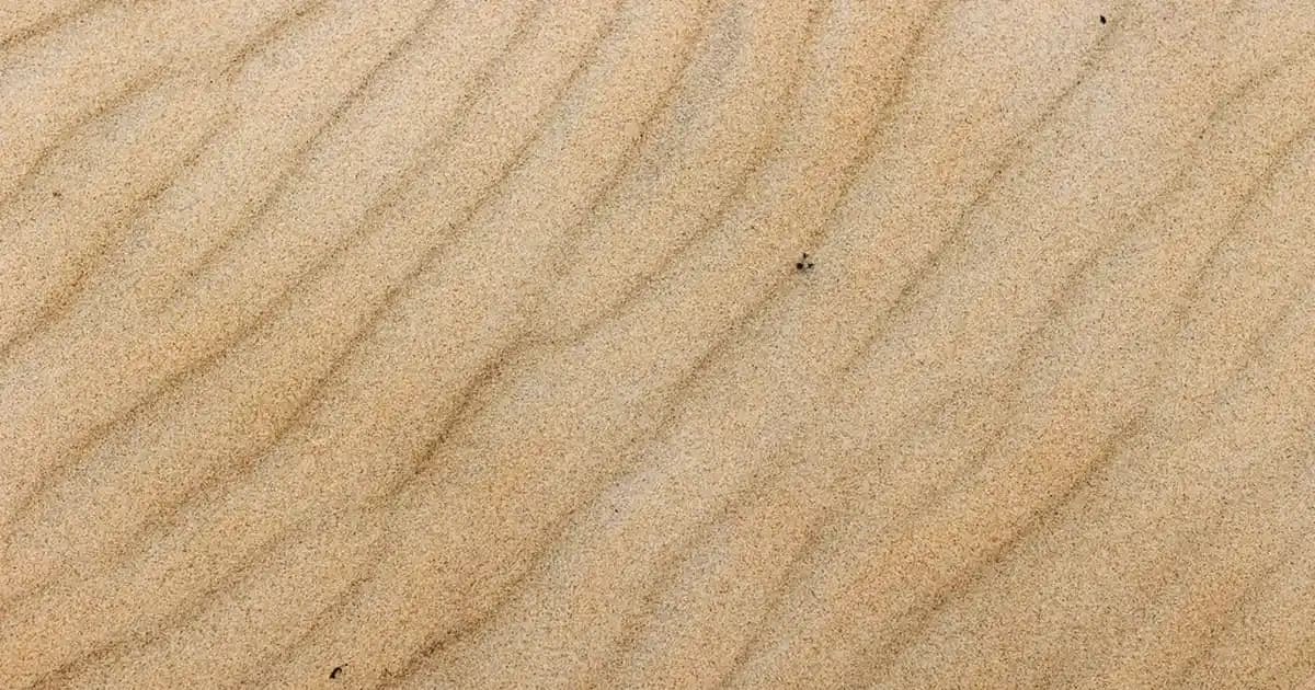 2025'te Pirinç Unlu Muhallebi: Evde Kolayca Hazırlayabileceğiniz 5 Sır