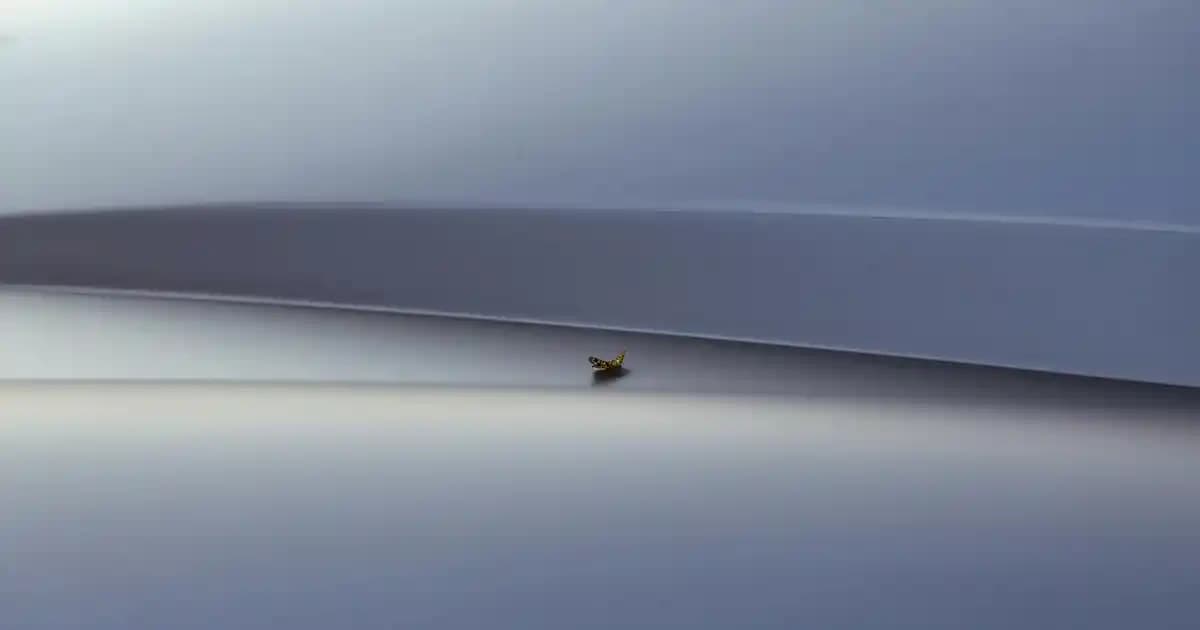 2025'te Rinso 5 LT ile Ekonomik ve Güçlü Temizlik Sırrı