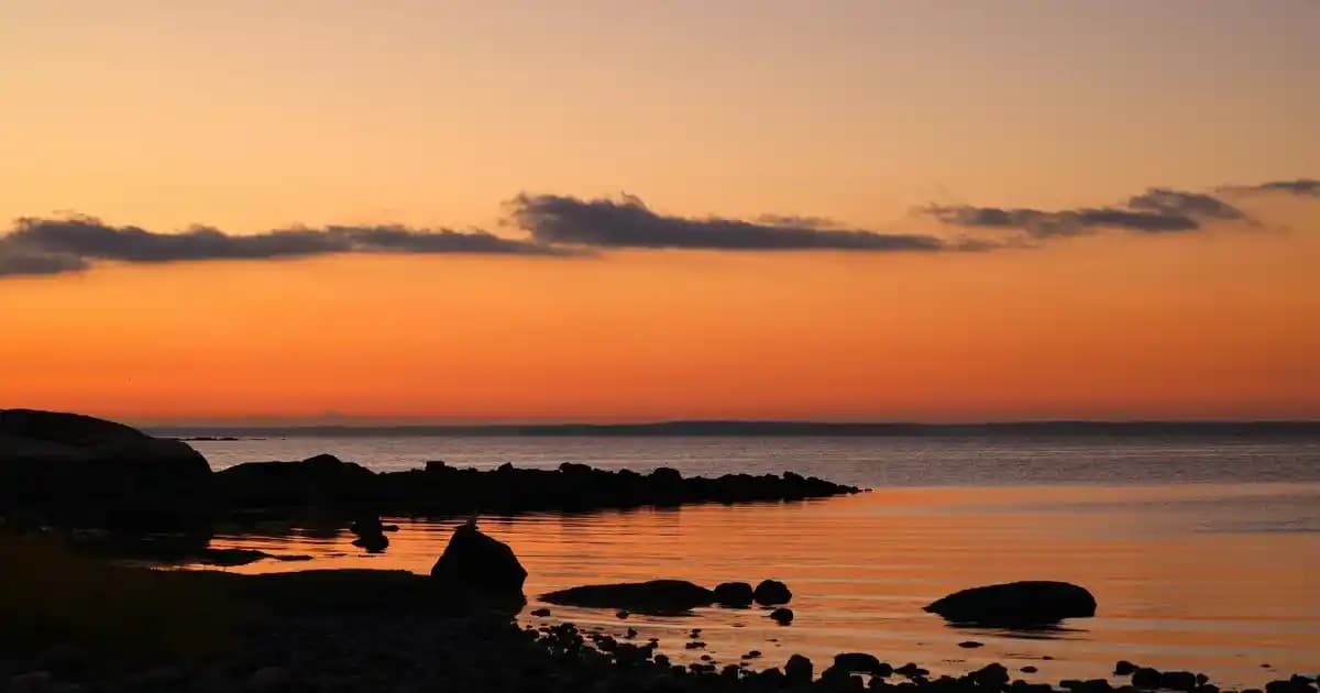Safranbolu'daki Migros Mağazası Hakkında Güncel Bilgiler ve Alışveriş İpuçları