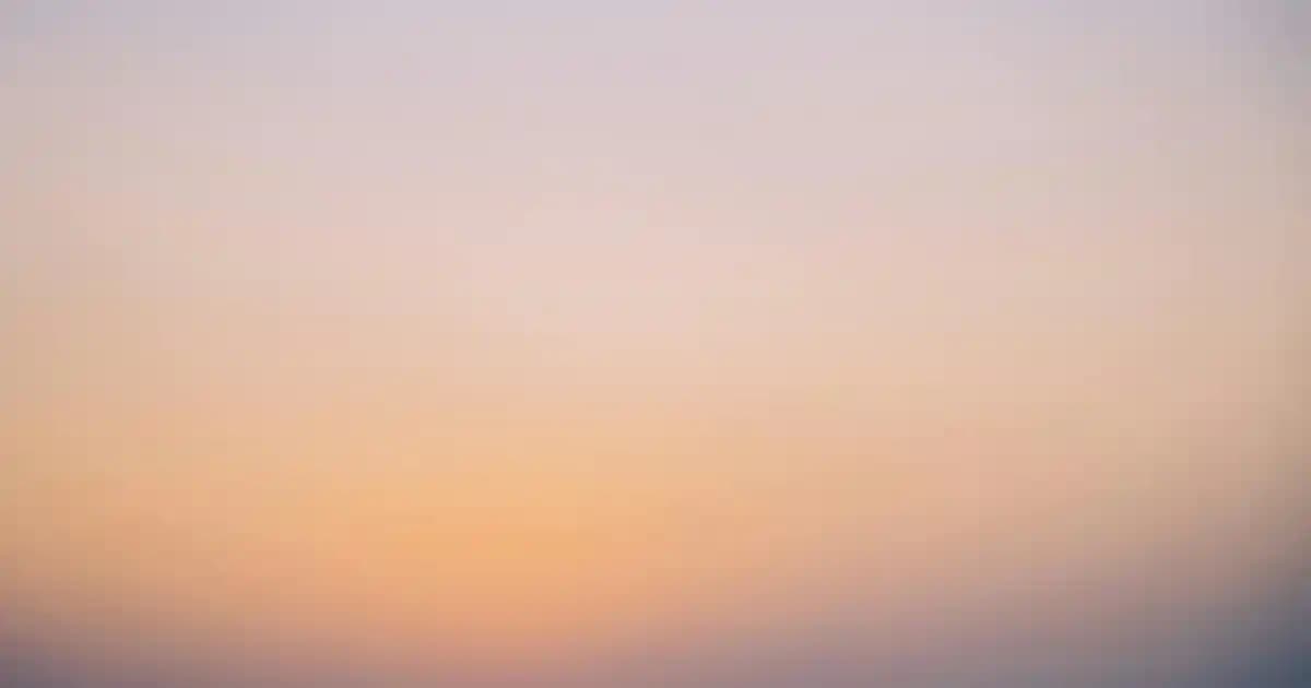 2025'te Sebzeli Omletle Kahvaltınızı Enerji Dolu Hale Getirin