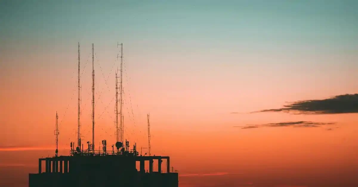 2025'te Karaciğer Sağlığınızı Değiştirecek Solgar Milk Thistle Sırrı