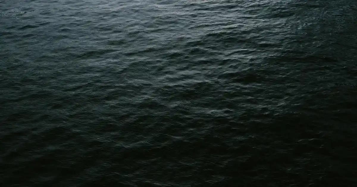 Spirulina Nedir ve Sağlık Üzerindeki Faydaları Nelerdir