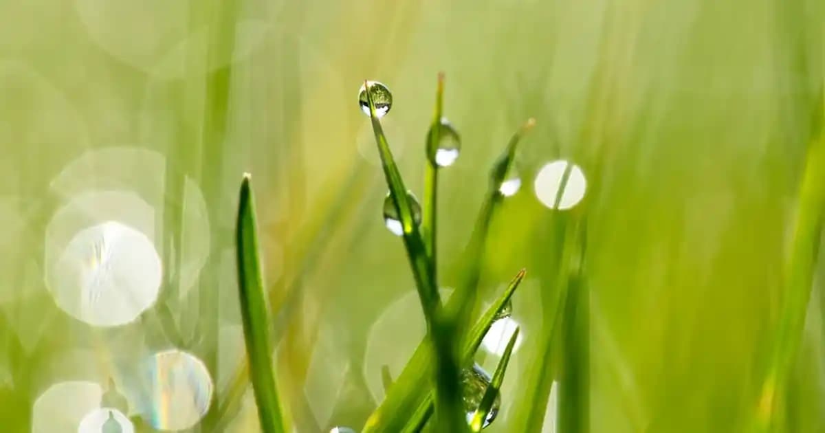 Süpermarketlerde Bulunan Uzay Temalı Kıyafetler: Çocuklar ve Yetişkinler İçin Eğlenceli Seçenekler