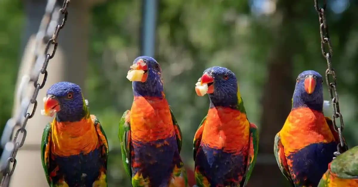 2025'te Sustenium Triple Action Yan Etkileri ve Kullanım Sırları