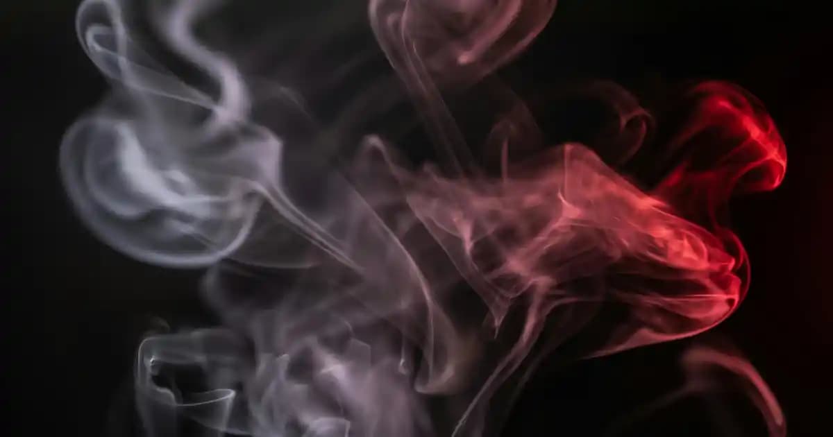 Tavuk Kızartma Makineleri: İşletmeler ve Süpermarketler İçin Uygun Çözüm ve Seçim Rehberi