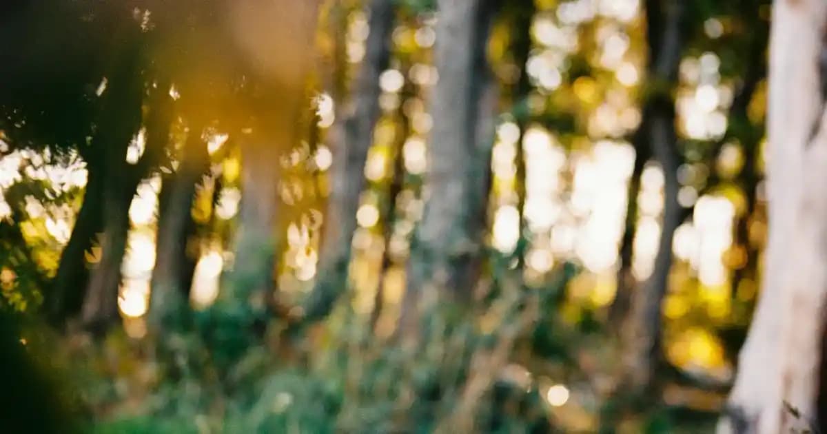 2025'te Tatlı Krizlerine Son: Torku No:1 Çikolatalı Gofretin 5 Sırrı