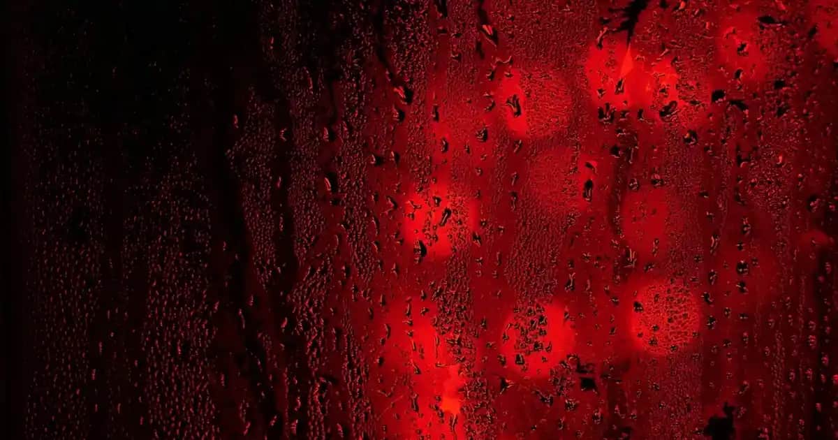 Türkiye’de Üretilen Ayakkabı Markaları: Kalite, Estetik ve Uygun Fiyatın Buluşması