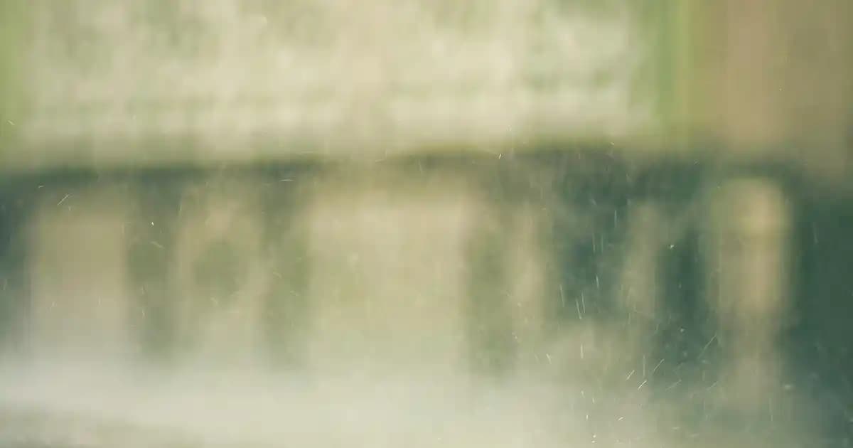 2025'te Türkiye'nin En İyi Yerli Kedi Mamaları ile Sağlıklı Seçim