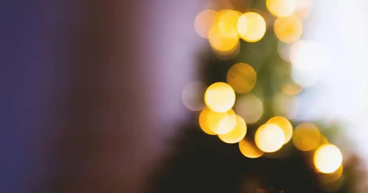 Türkiye’nin En Pahalı Çikolataları ve Lüksün Simgesi Olmanın Özellikleri