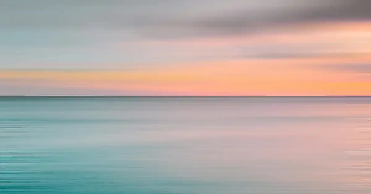 Ülker Petibor Bisküvi: Geleneksel ve Modern Tatların En Sevilen Atıştırmalığı