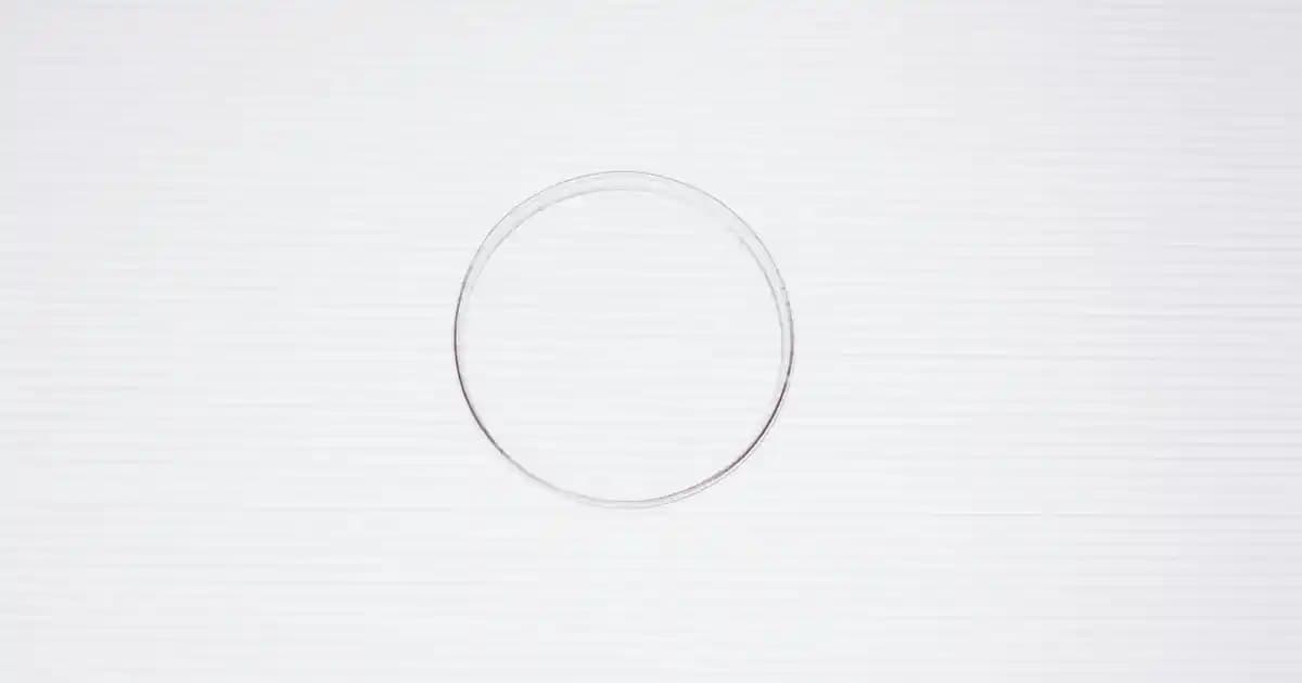 2025'te Uzungil Lokum: Geleneksel Tatların Modern Büyüsüyle Tanışın