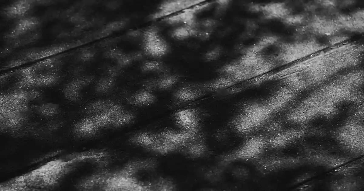 2025'te Via Gold Dedektör: Gerçek Güvenilirlik ve Şaşırtıcı Detaylar