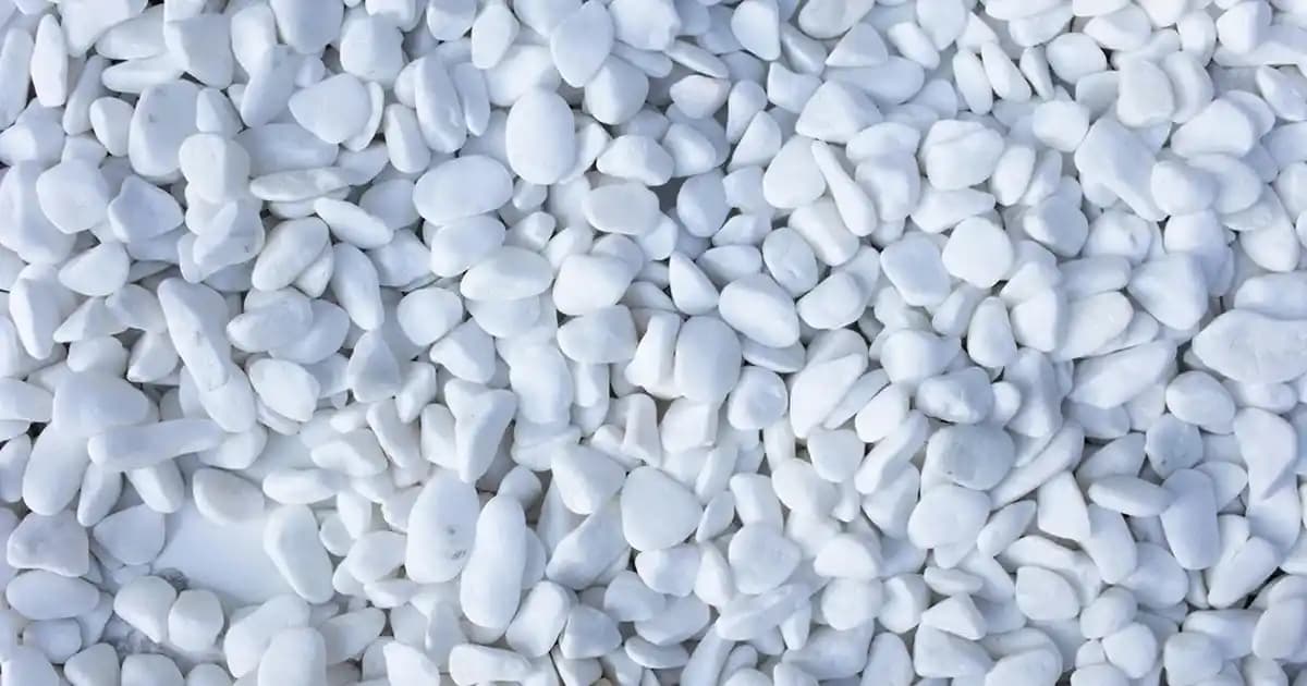 2025'te Yağlı Saçlarla Mücadelede Devrim: En İyi Şampuan Seçimi Rehberi