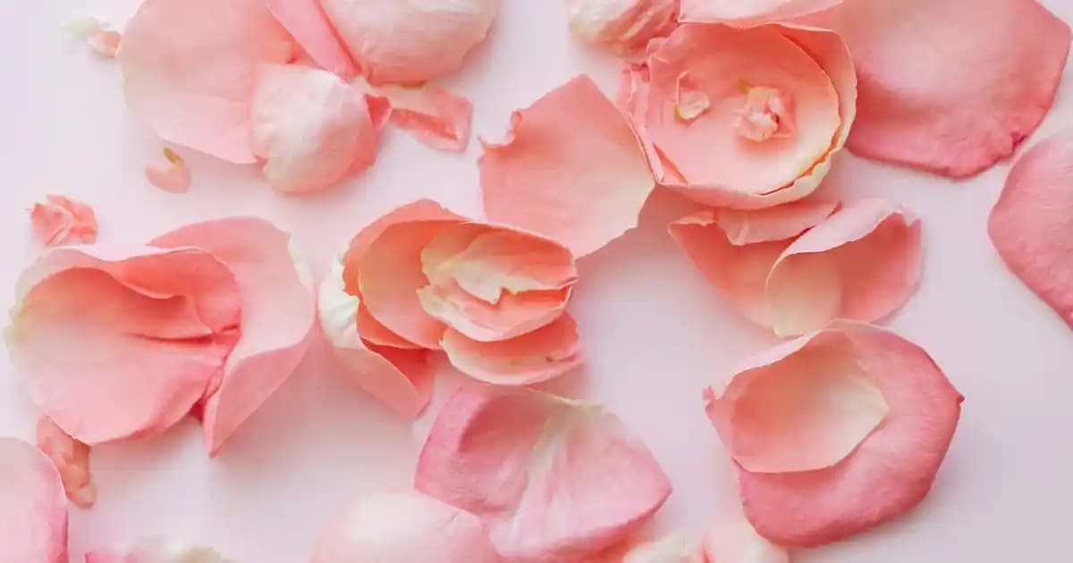 Yemeksepeti Partner Programı ile Süpermarketinizin Dijitalleşme ve Büyüme Fırsatları