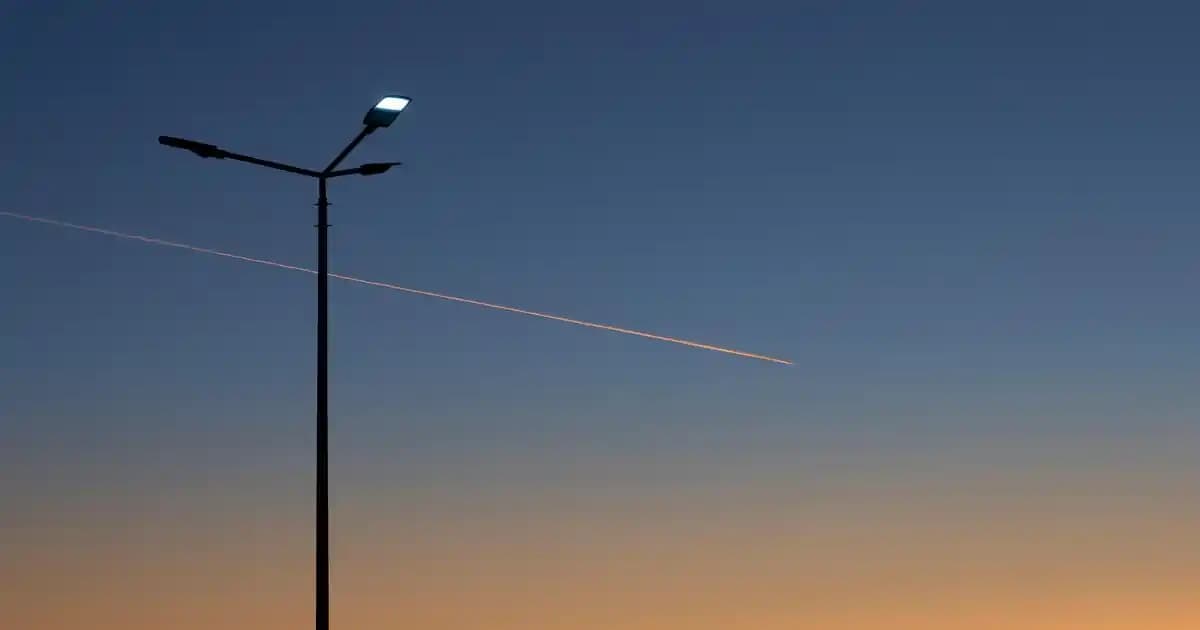 2025'te Yengeç Yağıyla Sağlığınızı ve Ruhunuzu Yenileyin