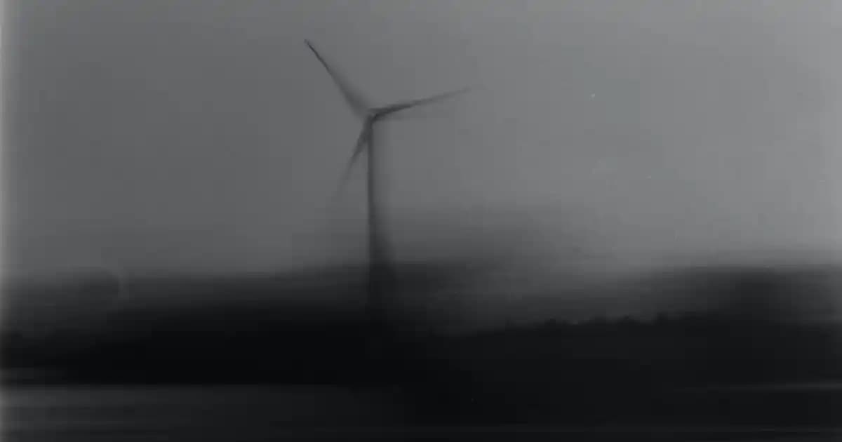 Yetişkinler İçin Güvenilir İştah Açıcı İlaçlar ve Doğal Destek Yöntemleri