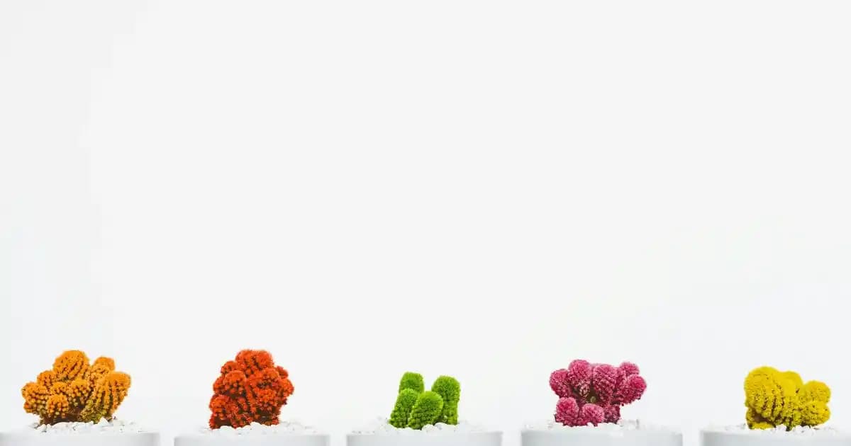 Yunanistan'da Ayakkabı Fiyatları ve Alışveriş İpuçları