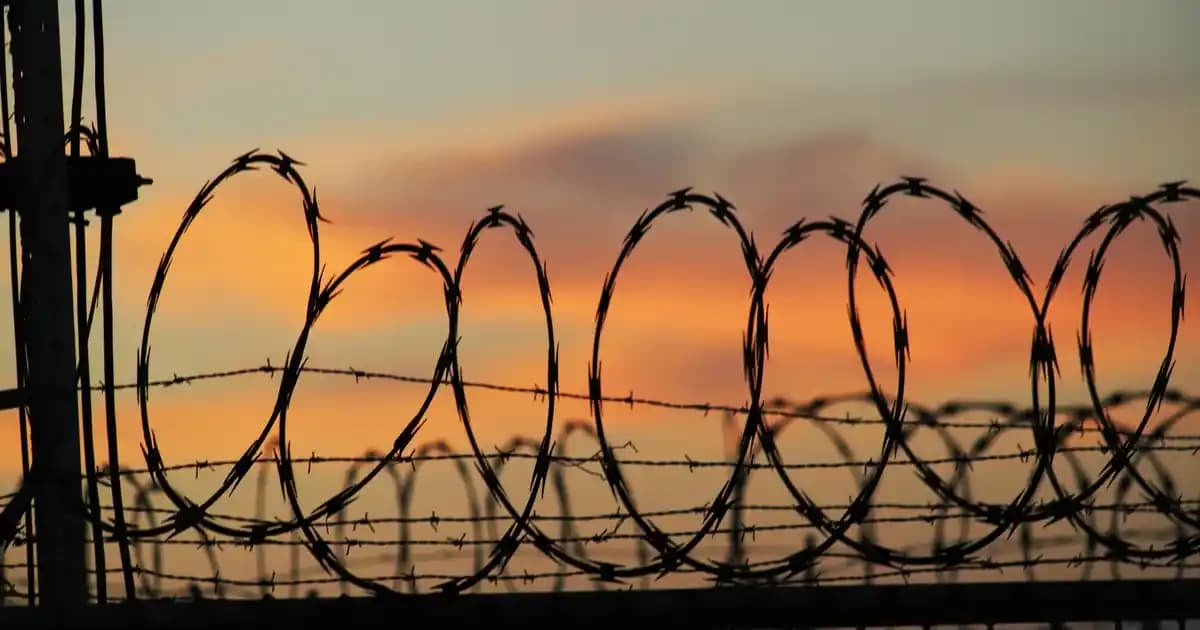 2025'te Zerdeçallı Sütle Sağlığınızı Altın Değerinde Destekleyin