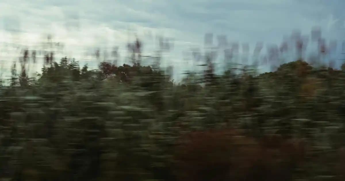 Zeytinyağı Fiyatlarını Etkileyen Faktörler ve Süpermarket Seçenekleri