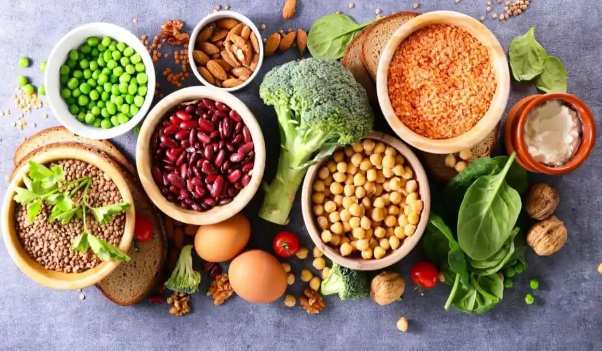 Bitki Bazlı Protein İçeren Kolay Güveç ve Yavaş Pişirici Tarifleriyle Doyurucu Öğünler