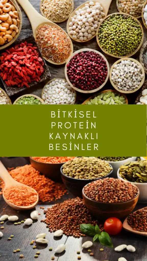 Bitkisel Protein Tüketiminde Gaz Problemi ve Azaltma Yöntemleri Üzerine Kapsamlı İnceleme