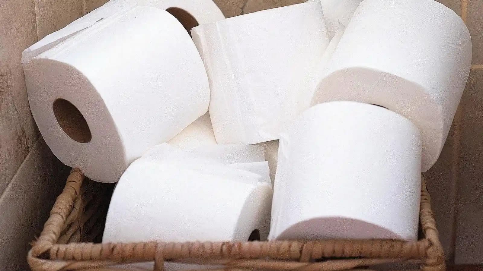 Dollar Tree'den Kağıt Mendil ve Tuvalet Kağıdı Alırken Kalite ve Fiyat Değerlendirmesi