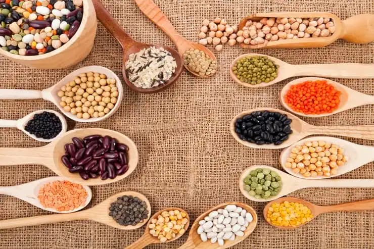 Fasulye ve Baklagillerle Et Yemeksiz Protein Zengini Yemek Tarifleri ve Kullanım Alanları