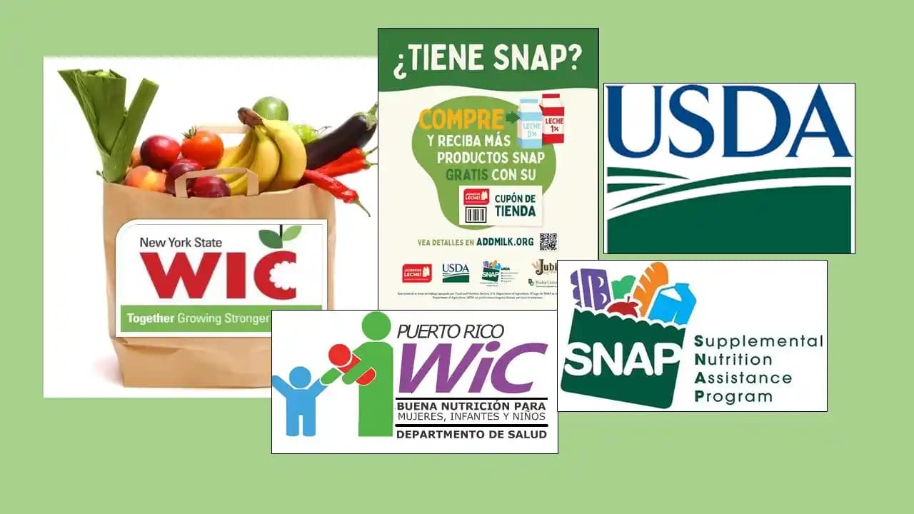 Gıda Kartı Desteğinin Kesilmesinin Marketlere ve Topluma Etkileri Üzerine Analiz