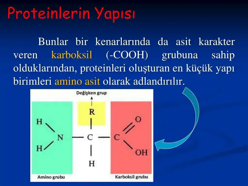 Günlük Protein İhtiyacını Karşılamanın Kolay ve Ekonomik Yöntemleri
