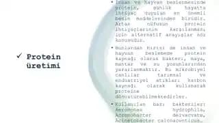Kolay ve Pratik Protein Kaynakları: Temel Gıdalar ve Hazırlama Önerileriyle Sağlıklı Beslenme