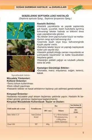 Sebze Kökleri, Sapları ve Dış Yaprakların Değerlendirilmesi ve Saklama Yöntemleri