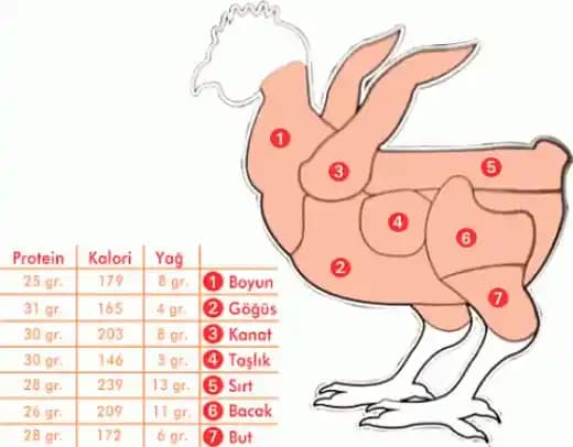 Tavuk Dışında Sağlıklı ve Çok Yönlü Protein Kaynakları: Bitkisel ve Hayvansal Alternatifler