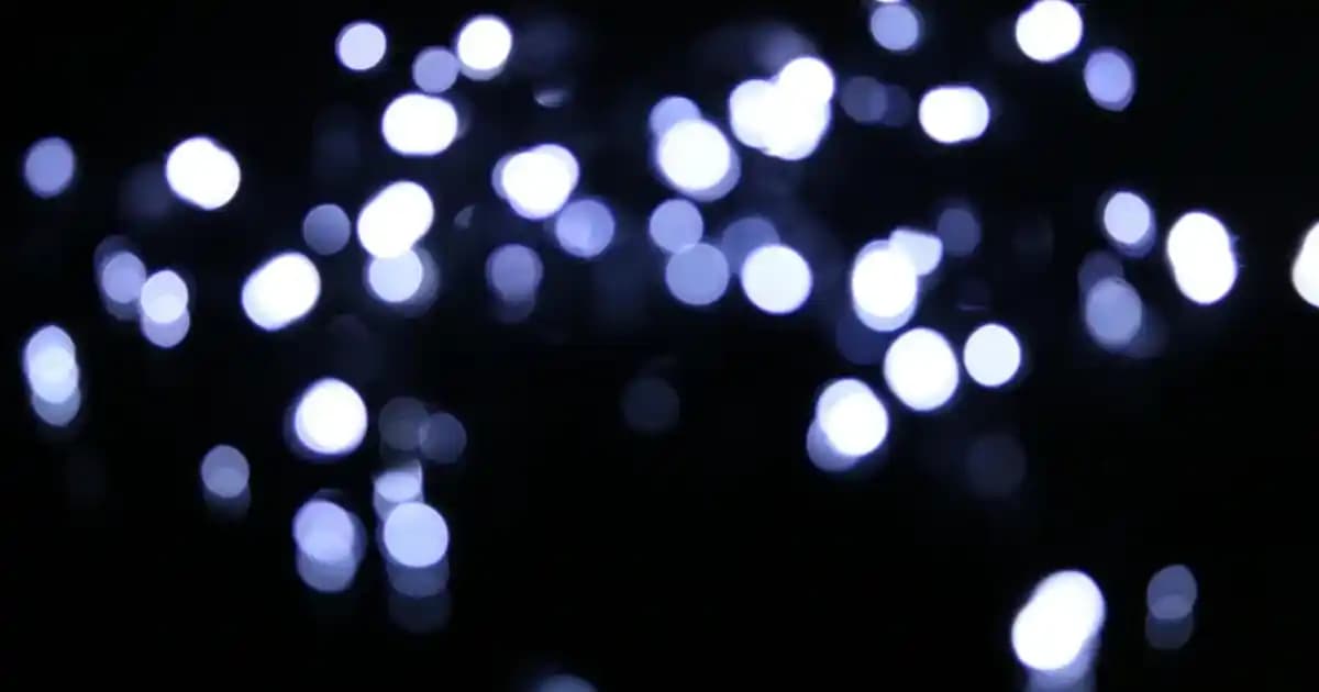 Cheddar Peynirli Tost: Farklı Pişirme Yöntemleri ve Zenginleştirme Önerileri