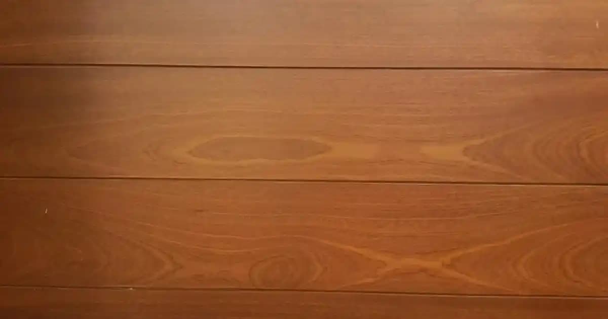 Dolmalık Biberlerin Çekirdek ve Uç Kısımlarının Verimli Kullanımı ve Atık Yönetimi