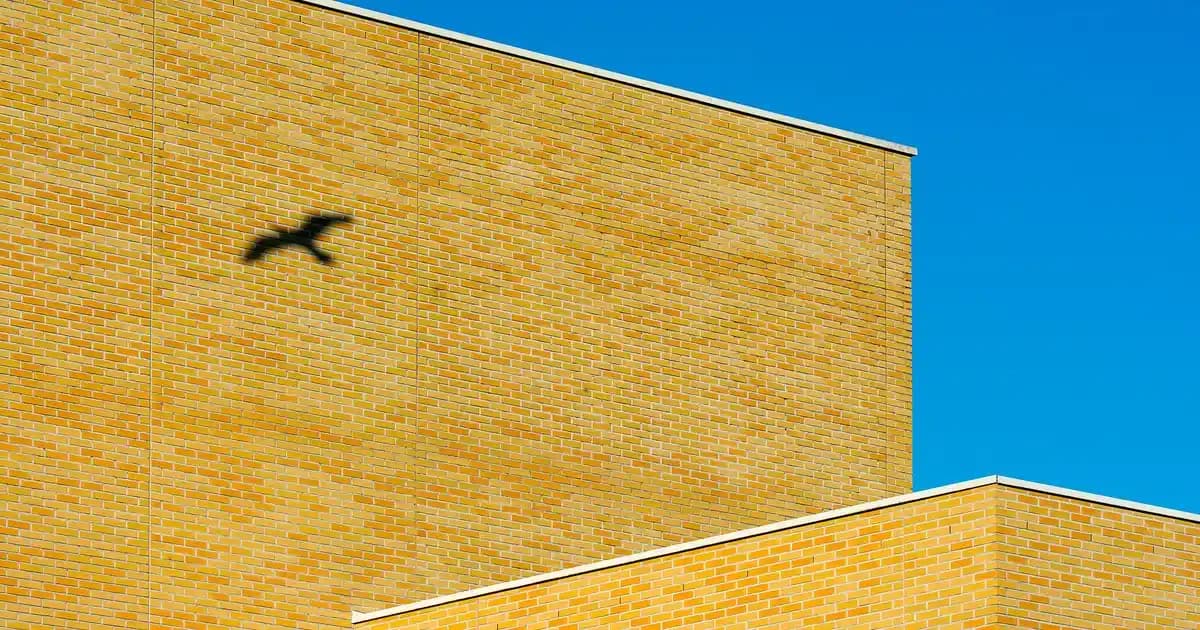 Domates Çorbası ve Domates Püresi Arasındaki Farklar ve Mutfakta Doğru Kullanım Rehberi