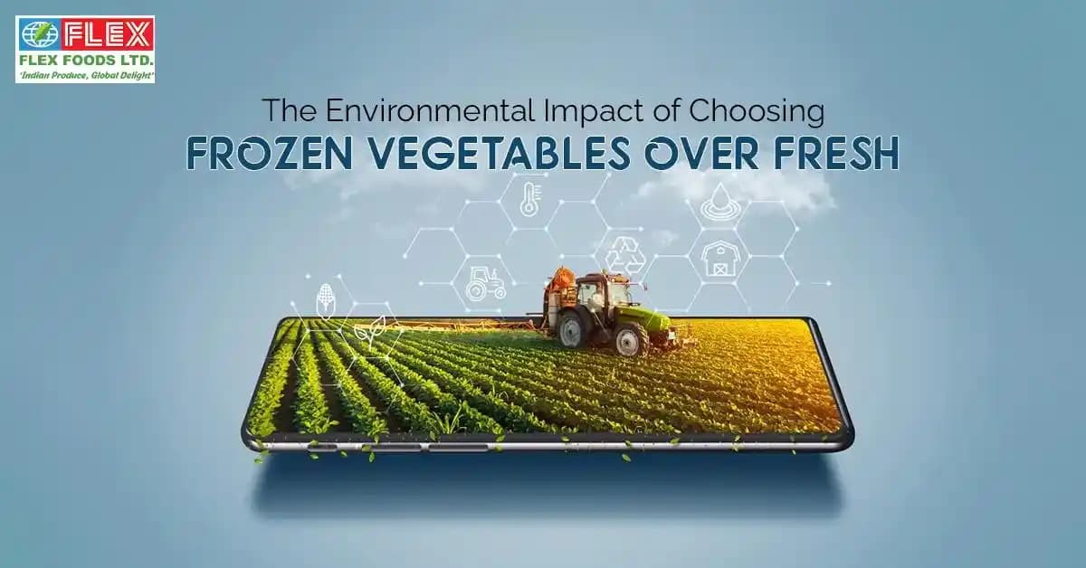 Donmuş Sebzelerin Gıda İsrafını Azaltmadaki Rolü ve Taze Sebzelerle Dengeli Kullanımı