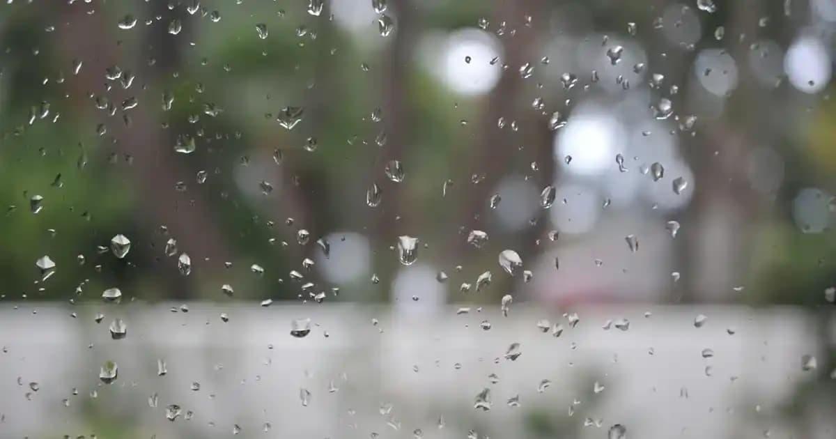 Dünya Mutfağından Fasulye ve Pilav Tarifleriyle Besleyici ve Çeşitli Öğünler