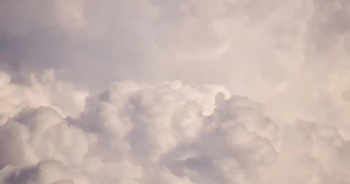 Hava Fritözünde Kabak Pişirmenin Pratik ve Sağlıklı Yöntemi