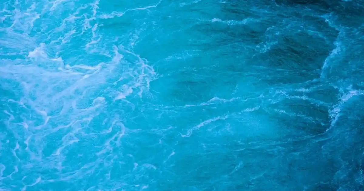 Kalan Jambon Derisiyle Bezelye Çorbası: Deri Pişirme Sürecinde Çözünür mü ve Lezzete Etkisi