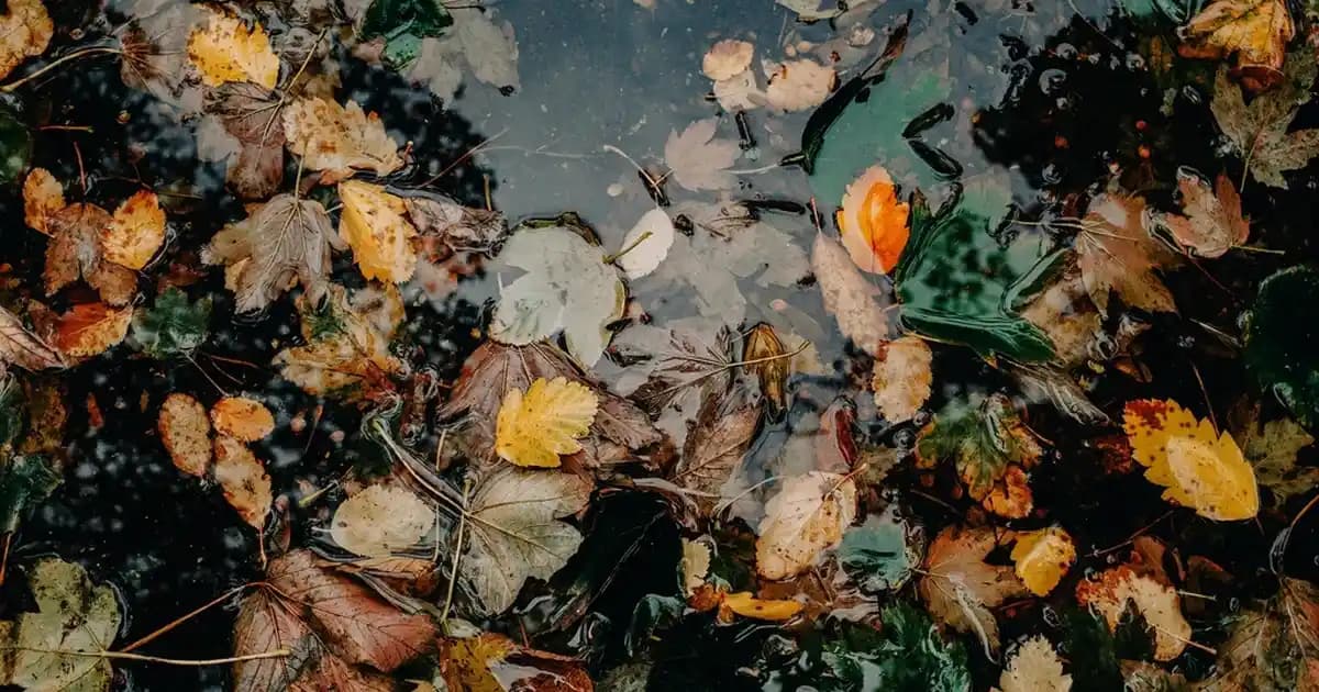 Metal Bantlı Hamur Fırçalarının Dayanıklılığı ve Kullanım Özellikleri