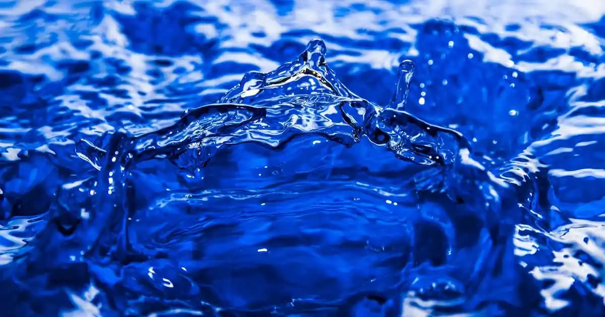 Pirinç ve Fasulye ile Ekonomik ve Besleyici Yemek Hazırlama Yöntemleri ve Tarifleri