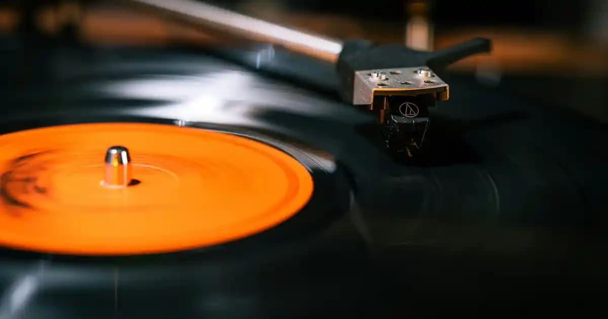 Sebzelerin Dayanma Süresini Uzatmanın Etkili Yöntemleri ve Saklama Teknikleri