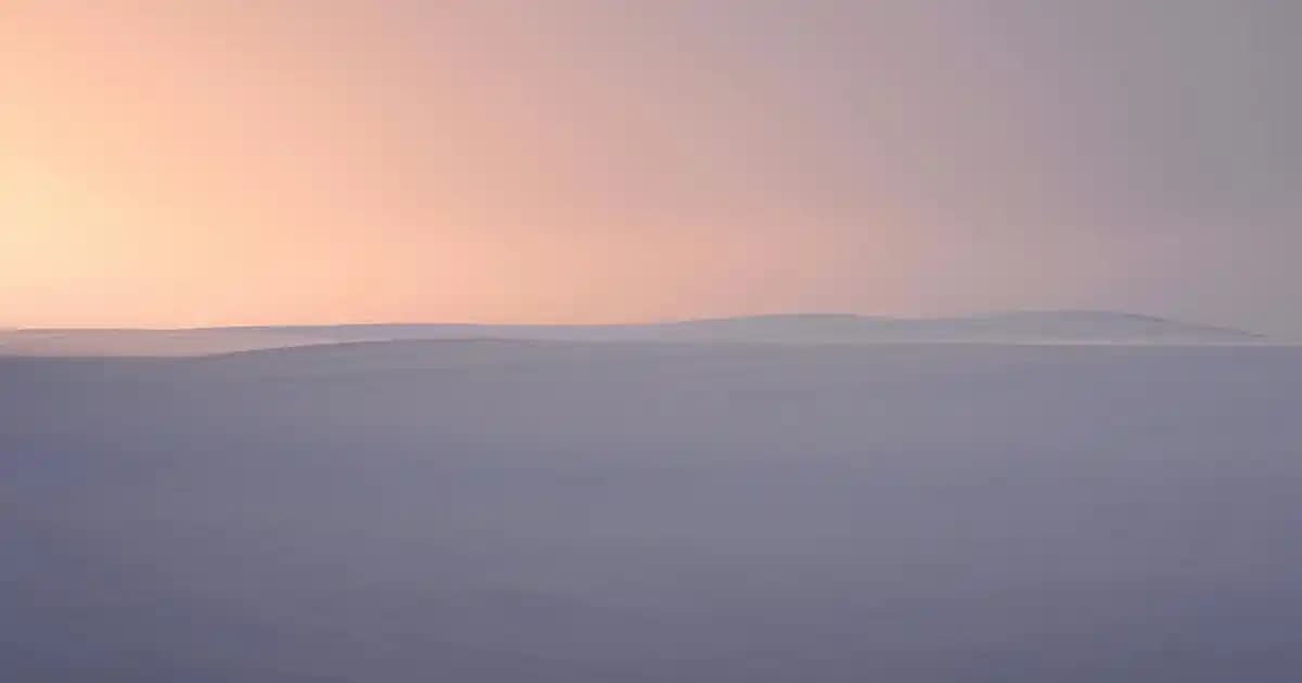 Şekersiz ve Düşük Sodyumlu Gazlı İçecek Alternatifleri ve Markaları Hakkında Bilgi