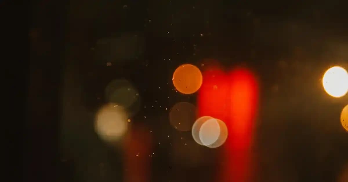 Tek Tavalık Sosis, Cannellini Fasulyesi ve Kara Lahana Yemeği: Ekonomik ve Besleyici Tarif