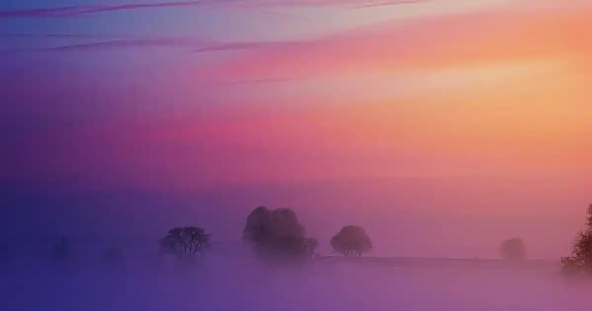 Whole Foods'ta %20 Çalışan İndirimiyle Alışverişin Avantajları ve Dezavantajları