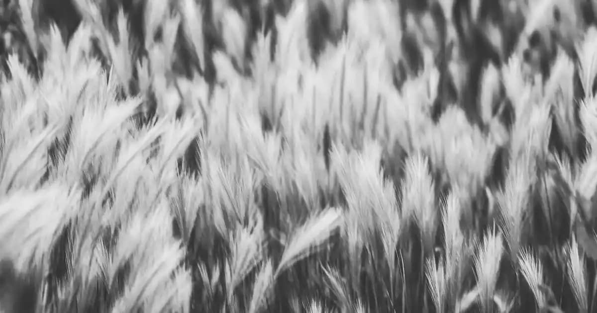 Yemek Dışındaki Harcamaları Azaltmanın Etkili Yöntemleri ve Bütçe Yönetimi