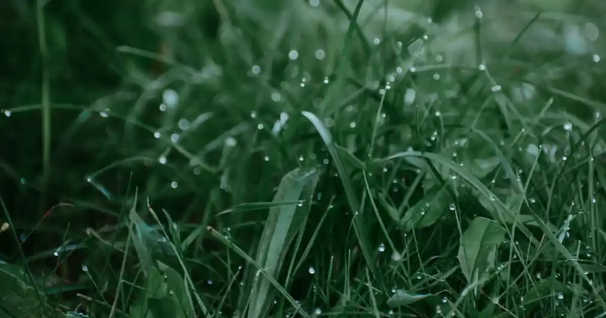 Yoğun Yaşamda Pratik ve Sağlıklı Yemek Seçenekleri: 5 Kolay Tarif ve İpuçları